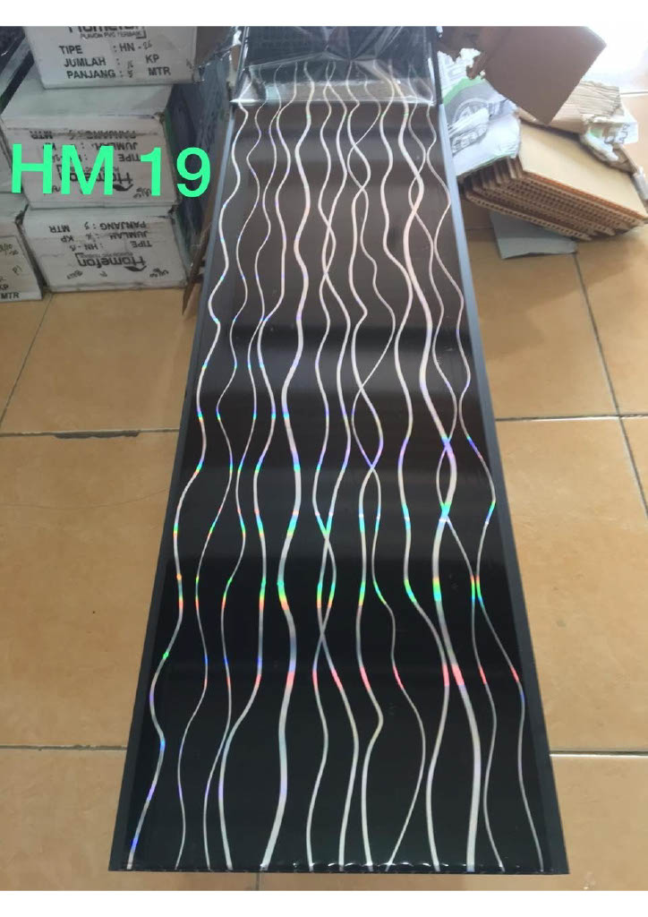HM019